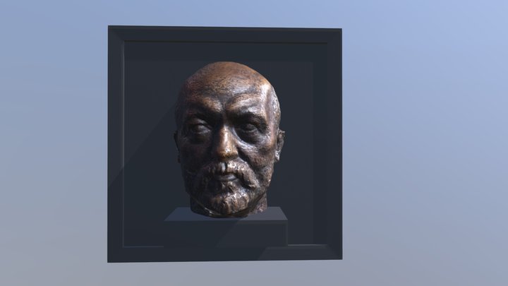Busto 3D Model