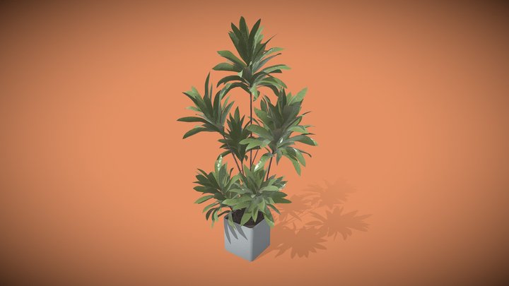 House Plant | PBR model 3D Model