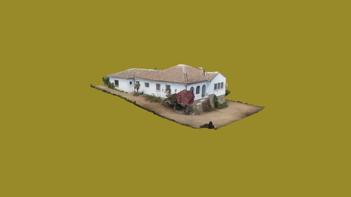 solo casa 3D Model
