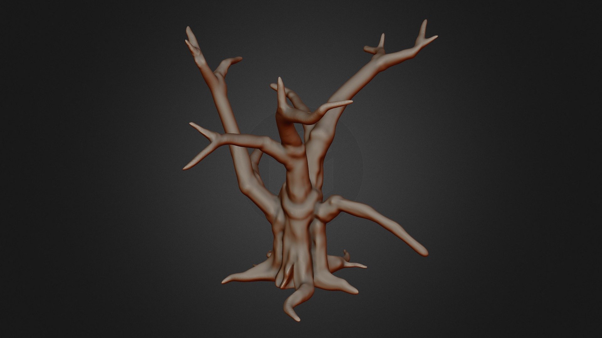 Oak Practice Sculpt
