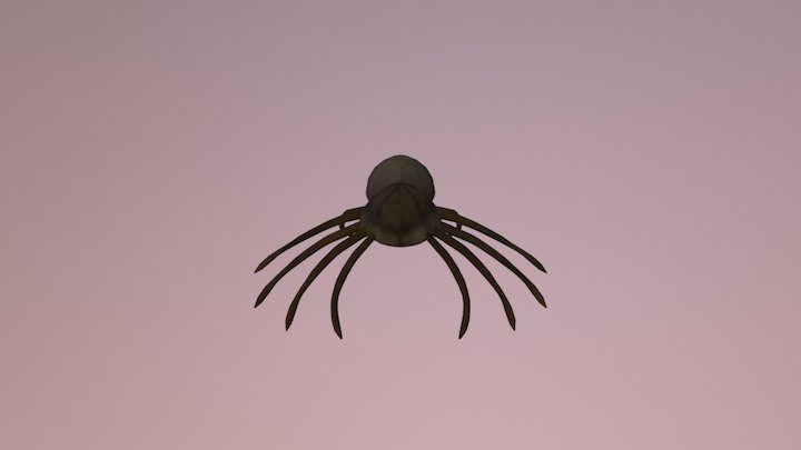 Webster the Trantula 3D Model