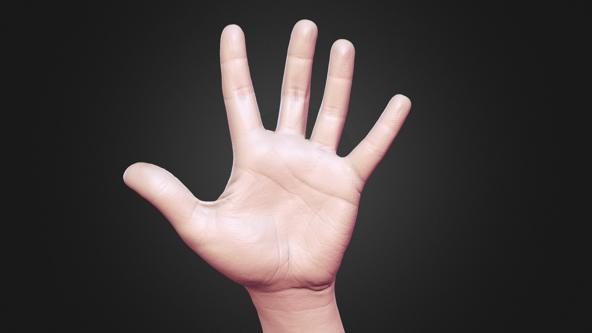 Hand - Buy Royalty Free 3D model by fenrir (@fenrirgrey) [3f742f6 ...
