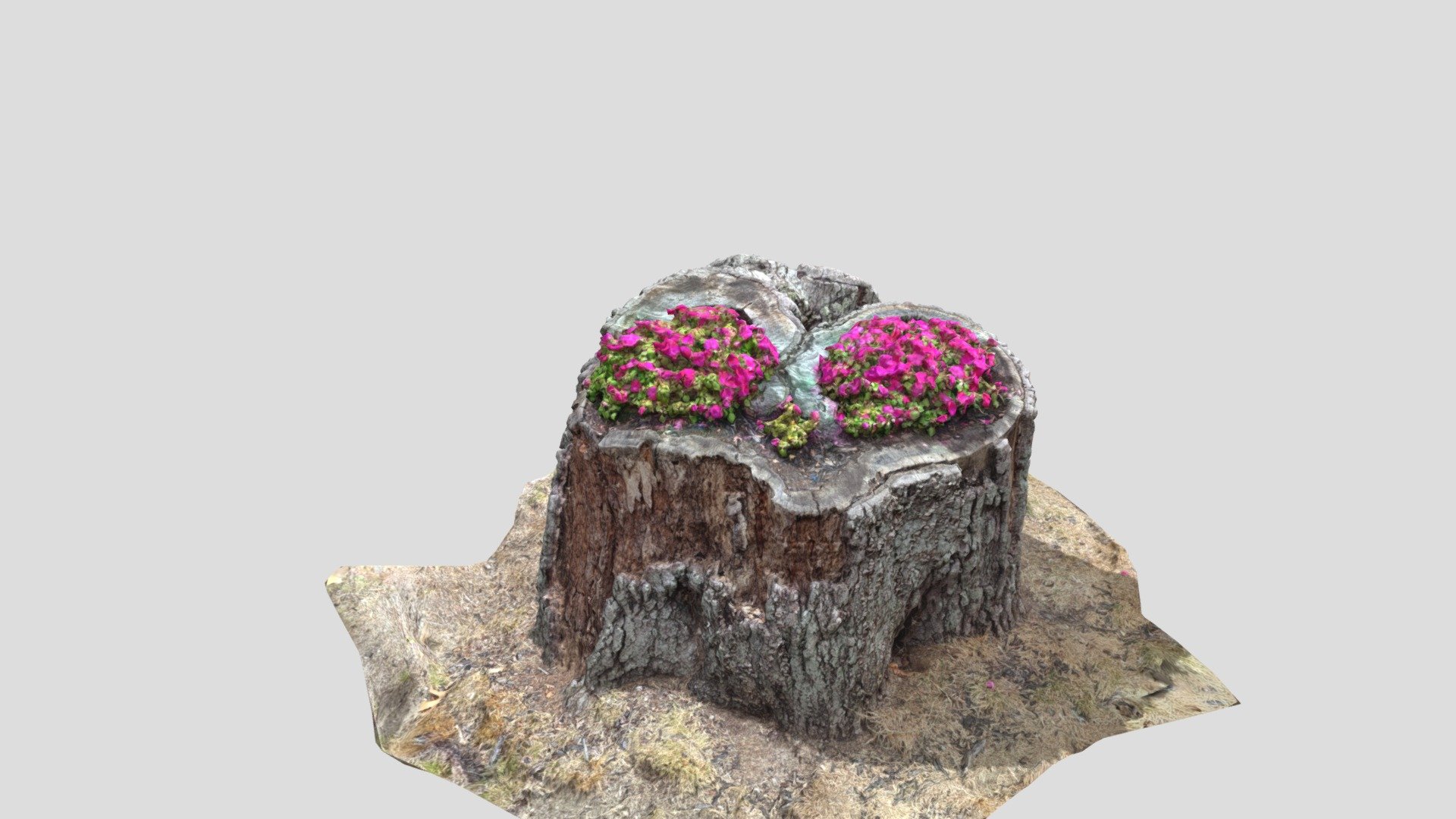 Stump Obj