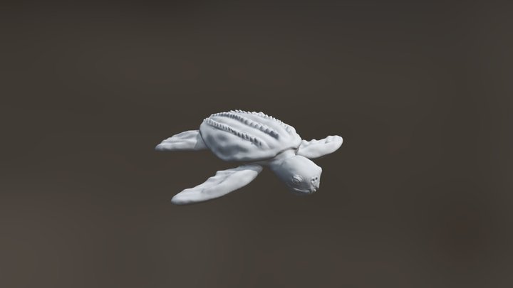 Leatherback Turtle 3D Model