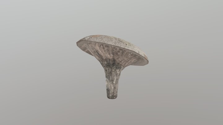 GART_MJR_MUSHROOM_02 3D Model