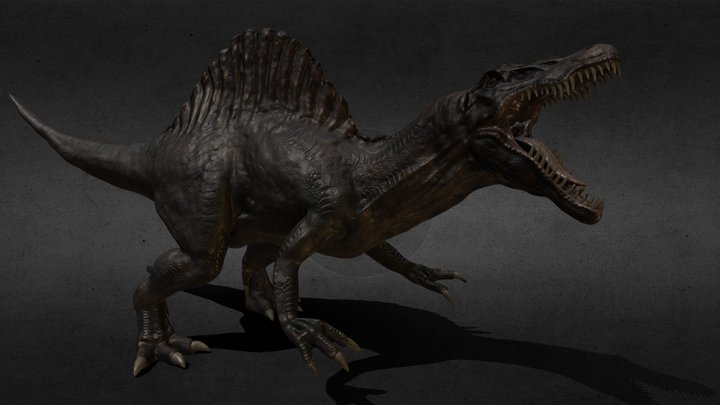 Spino 3D Model