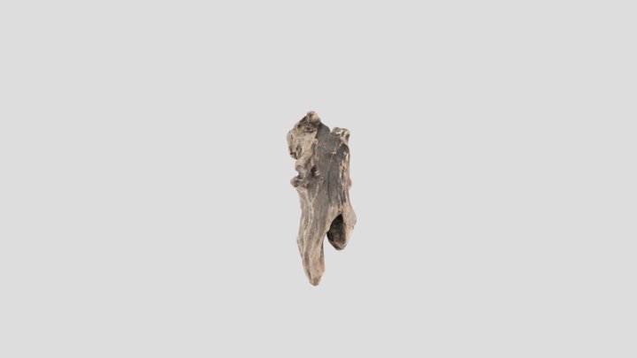 Wood
