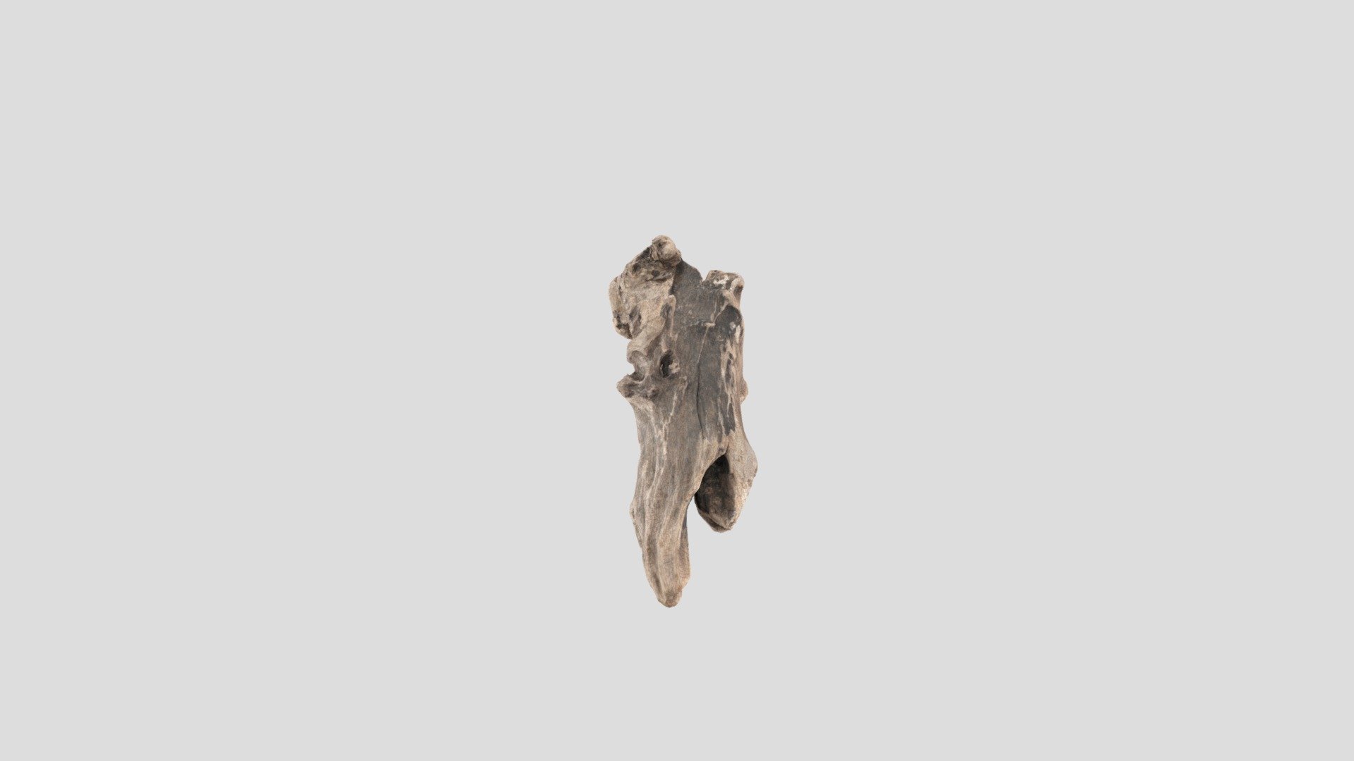 Wood - Download Free 3D model by sammyrules100 [3f7addf] - Sketchfab