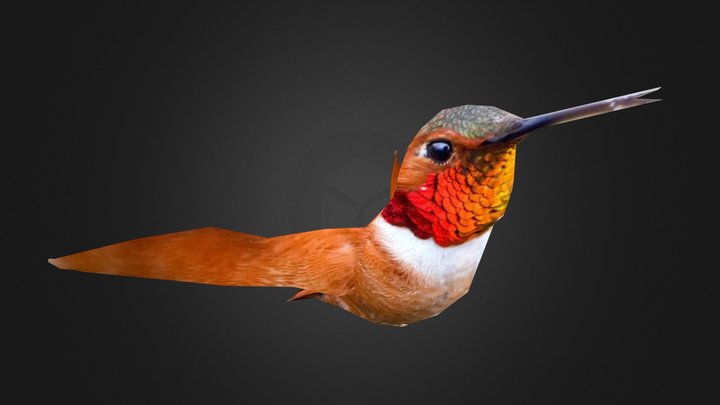 Beija Flor 3D Model