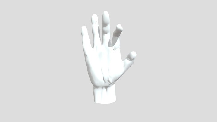 Manuel 3D Model