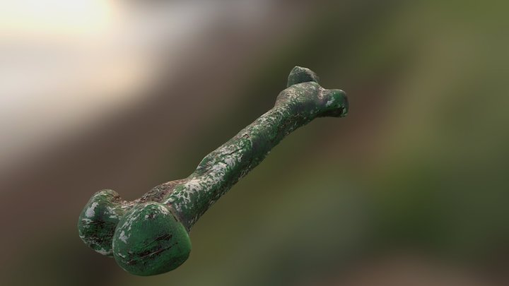 GART DR DECAYING FEMUR 01 3D Model