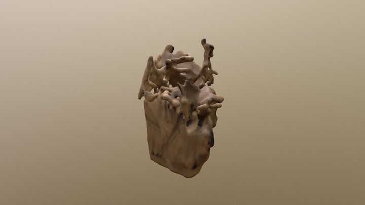 New Skanect Model 3D Model