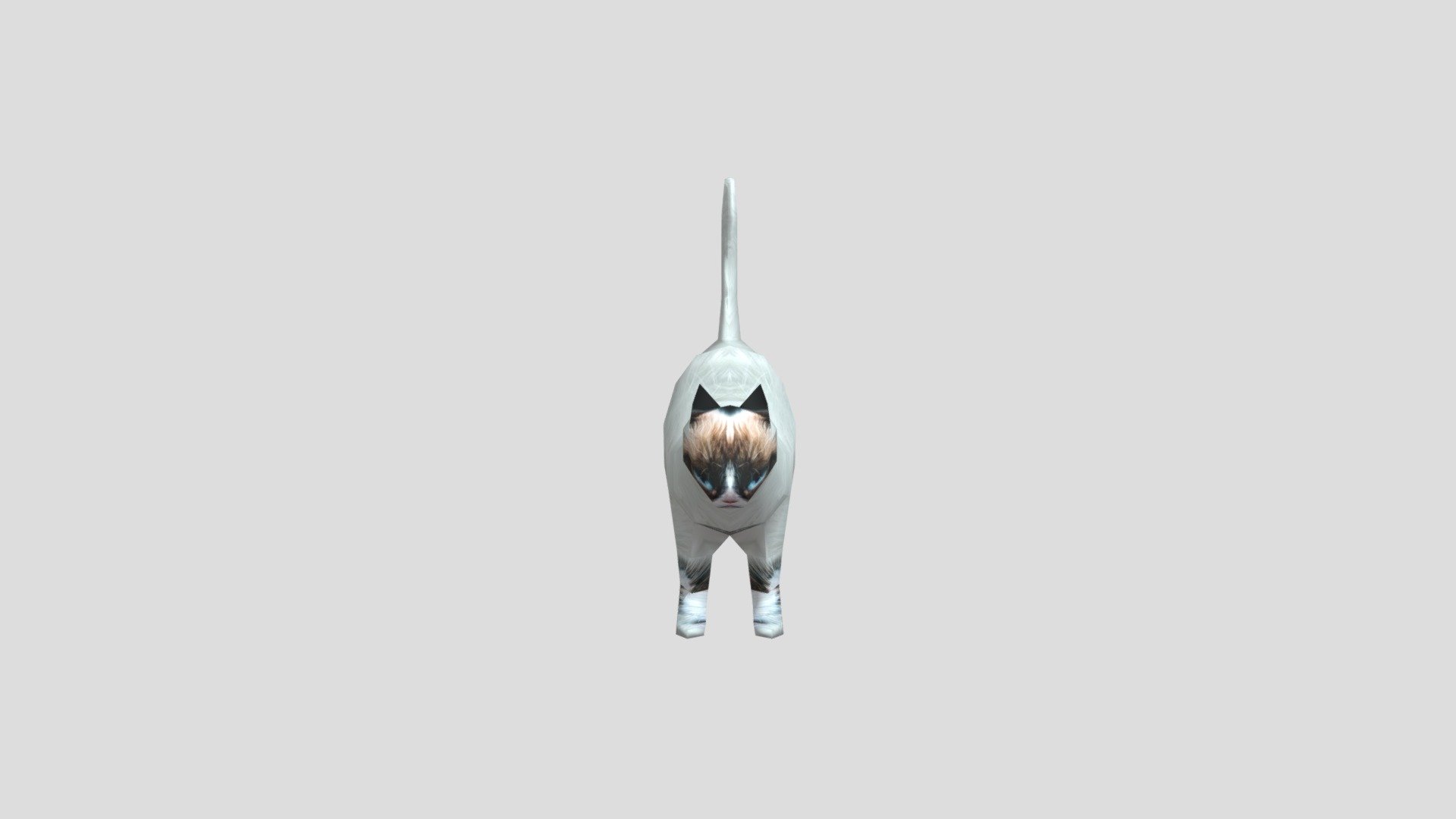 Low Poly Grumpy Cat (Cat from Cat Chat) - Download Free 3D model by ...