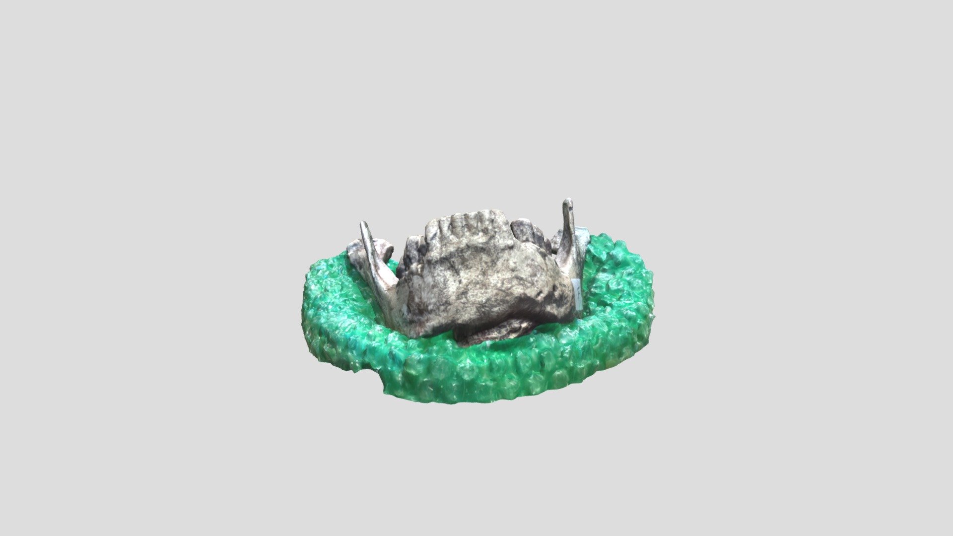 Krapina J Mandible Cast