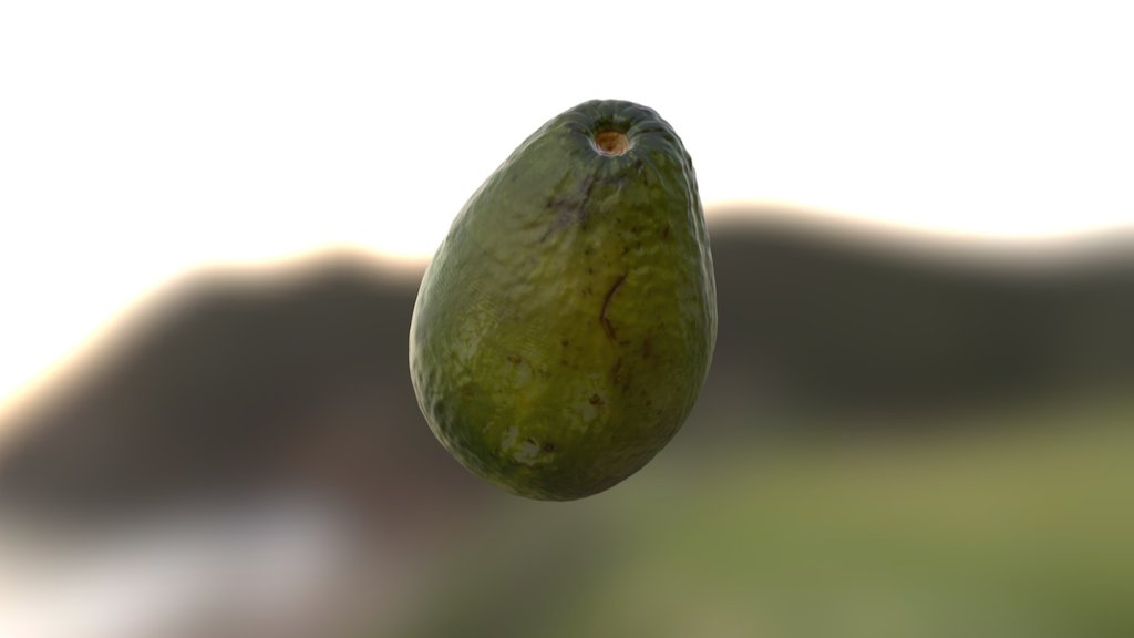 Aguacate, FabLab Puerto Rico