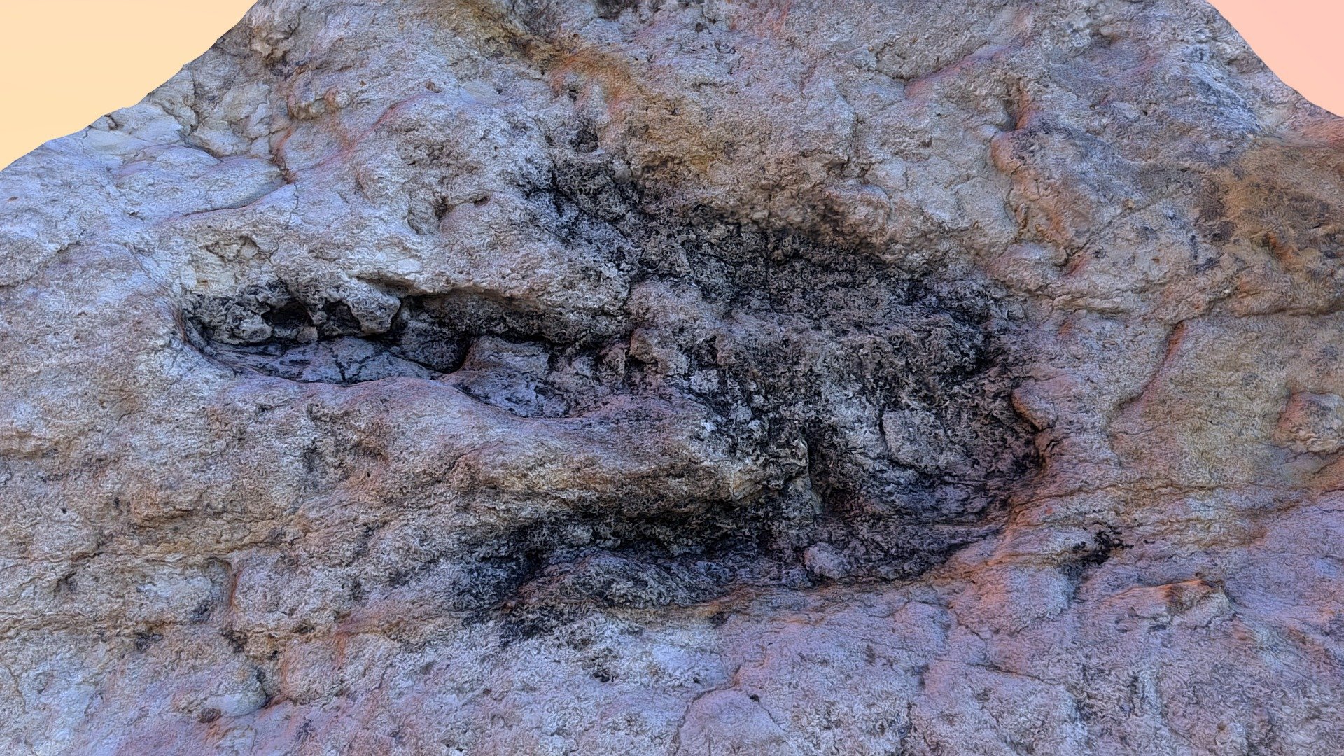 Allosaurus Footprint - 3D model by Irnefer [3f90ae0] - Sketchfab