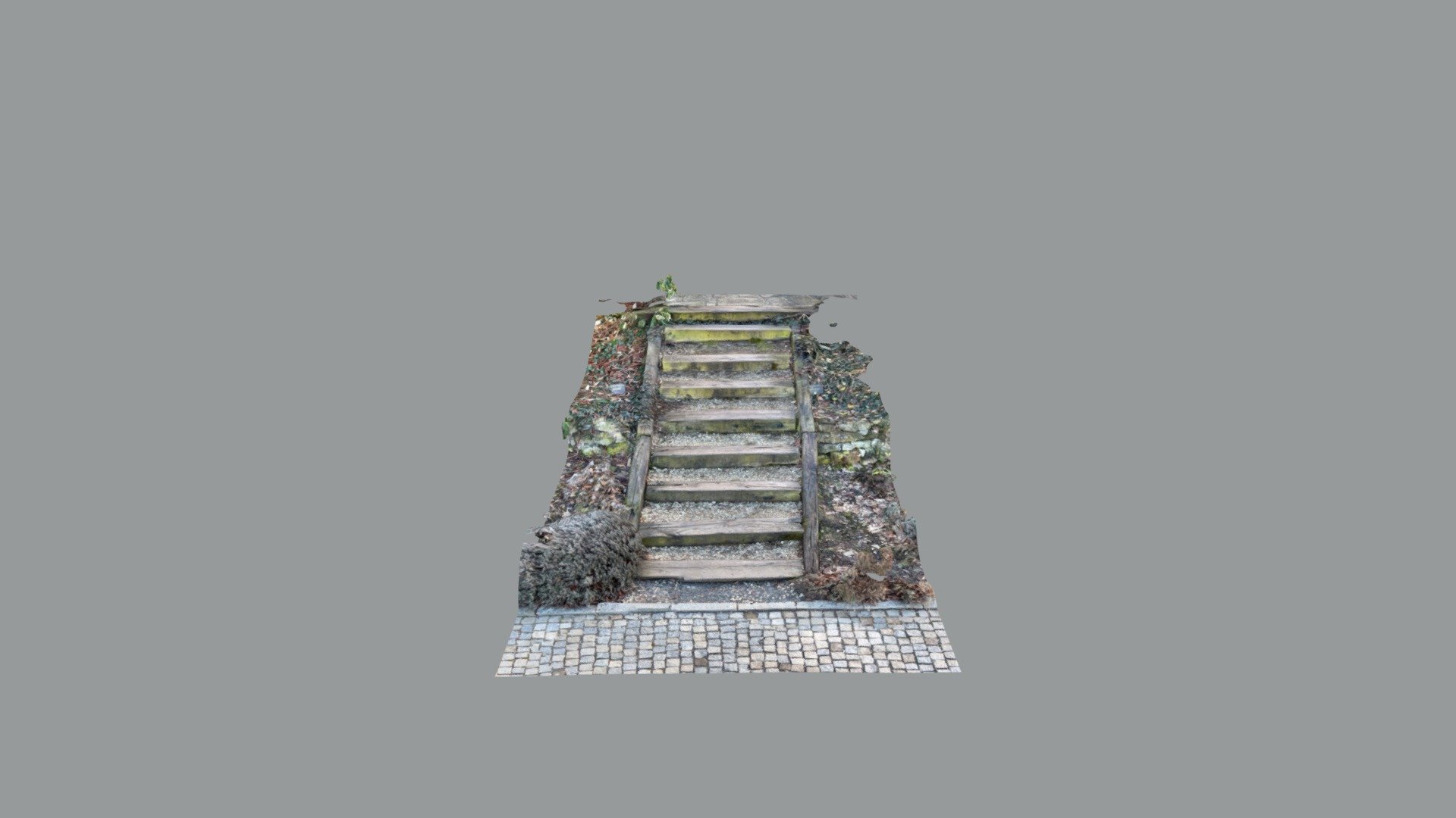 Wooden stairs at the botanical garden, Prague