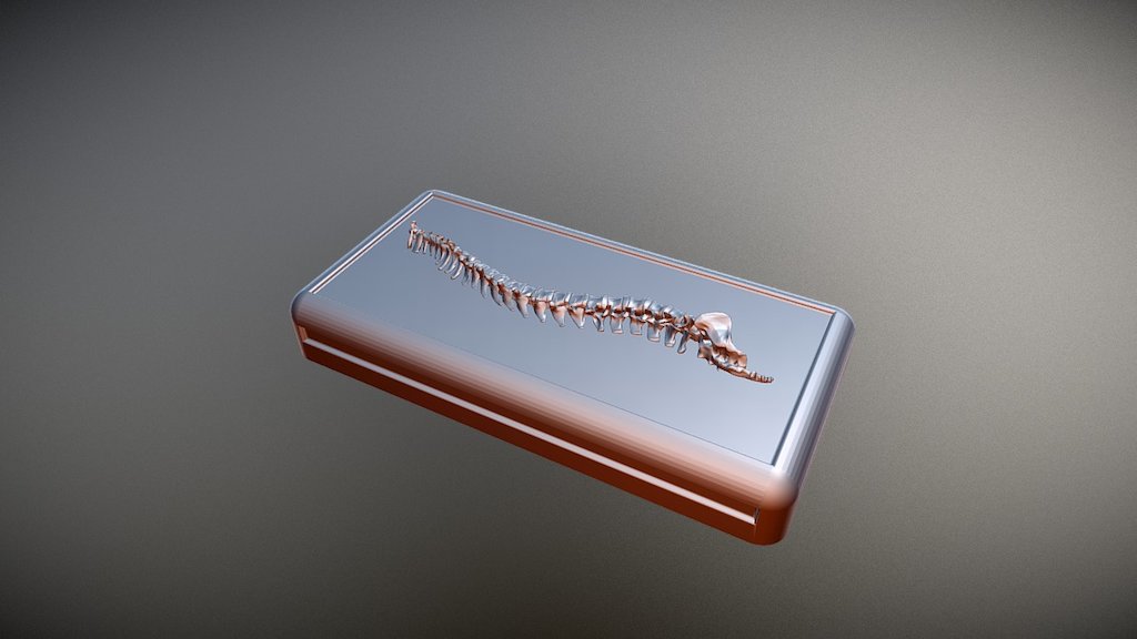 Box - Top With Spine