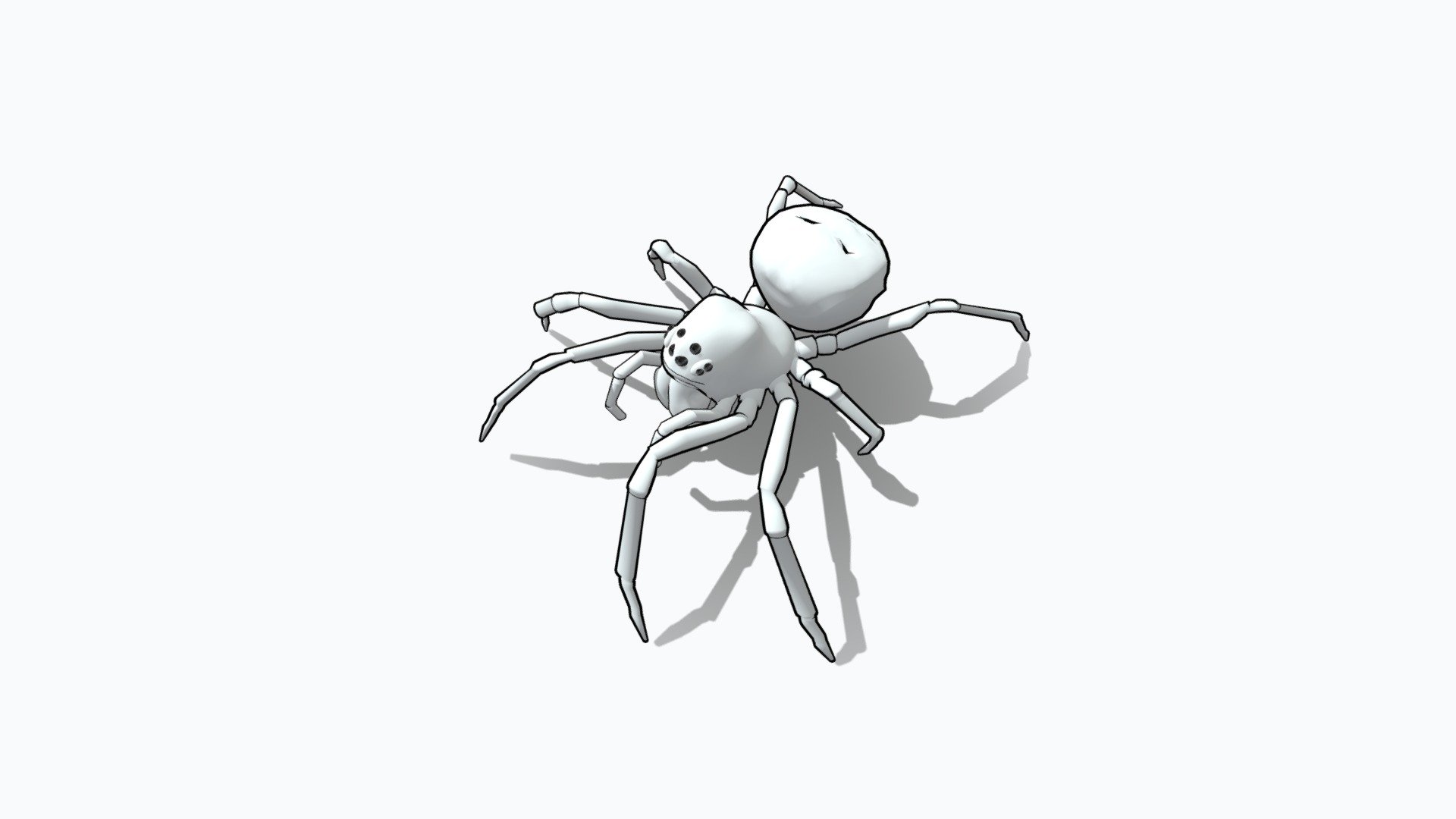 malkaridae eye pattern