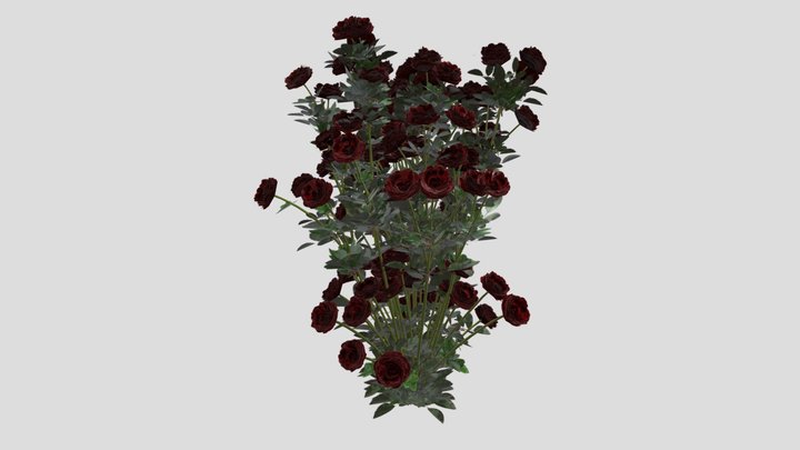 Rose bush 3D Model