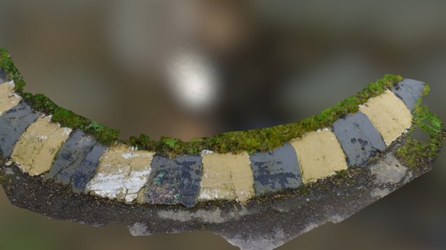 Lydden Hill Kerb scan1 3D Model