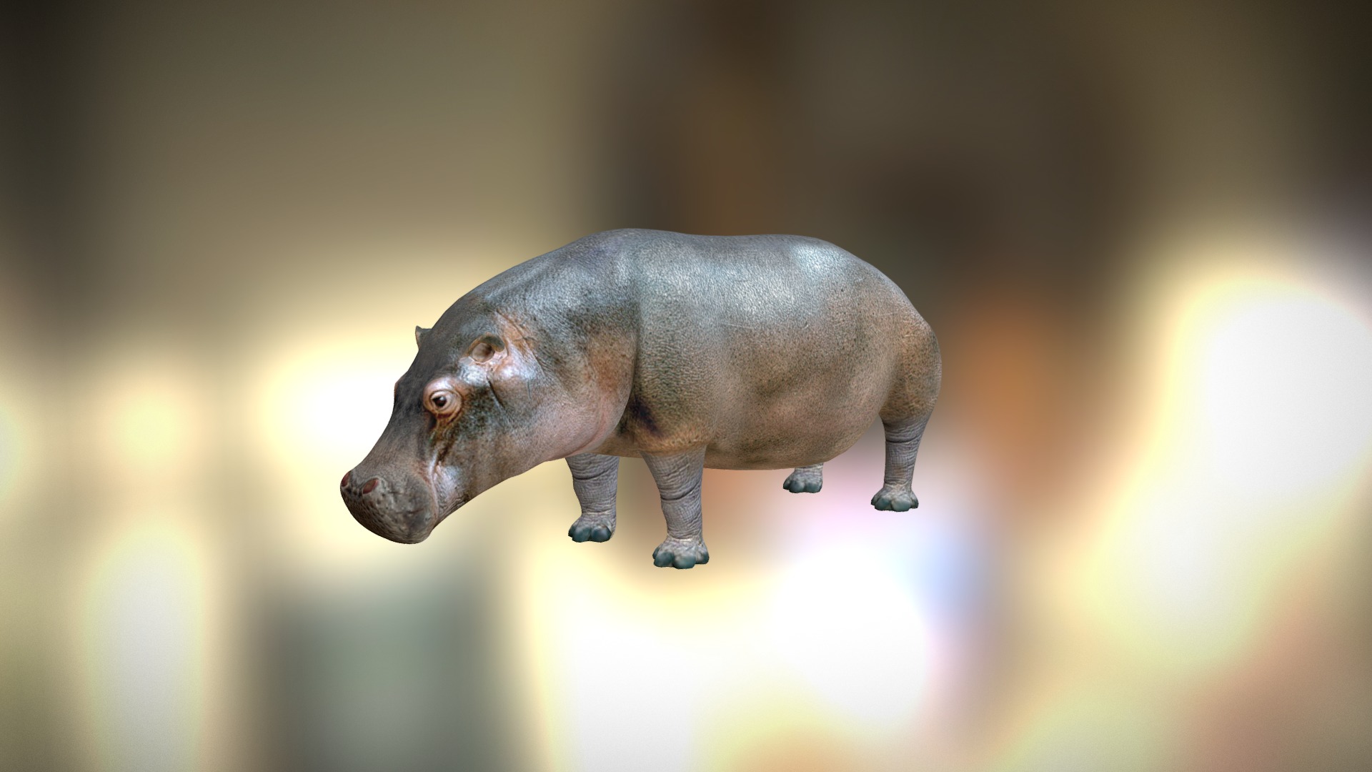 3D model Hippopotamus - This is a 3D model of the Hippopotamus. The 3D model is about a small grey animal.