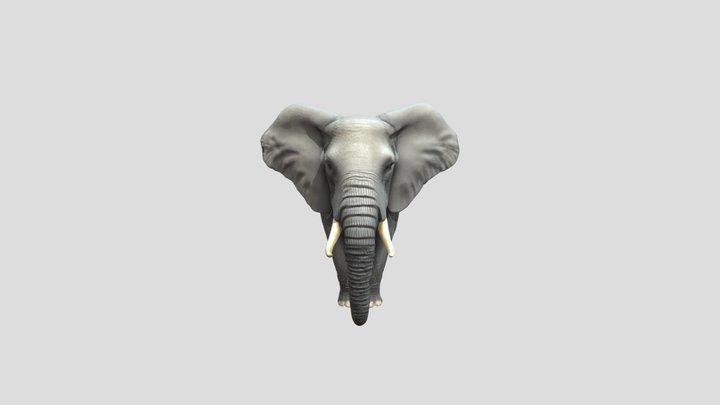 Mighty Elephant - Ultra-Realistic 3D Model