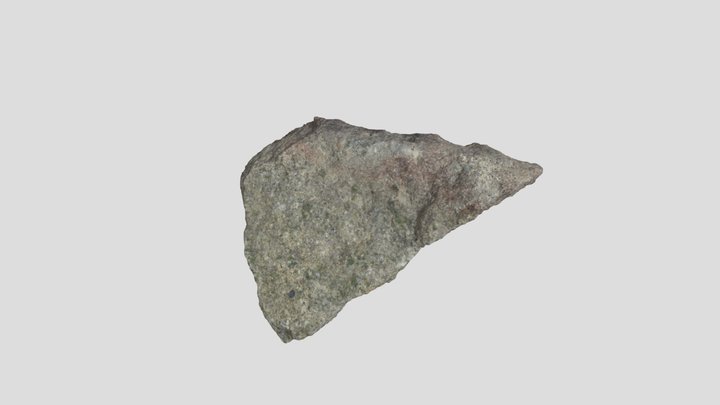 Model 4.1 3D Model