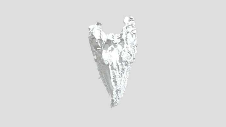 CRANEO T-REX Simplified 3d Mesh 3D Model