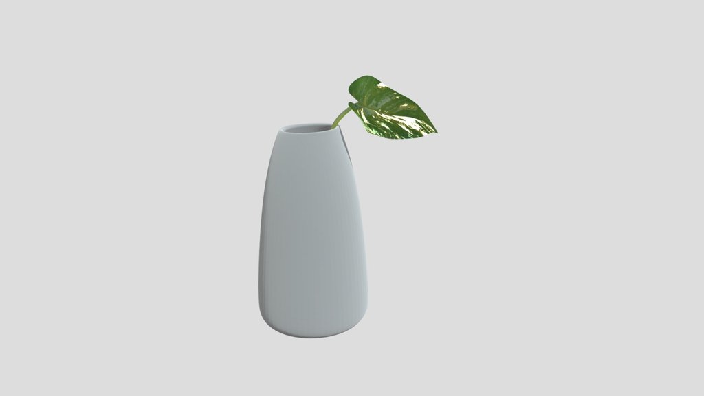 Pothos In Vase