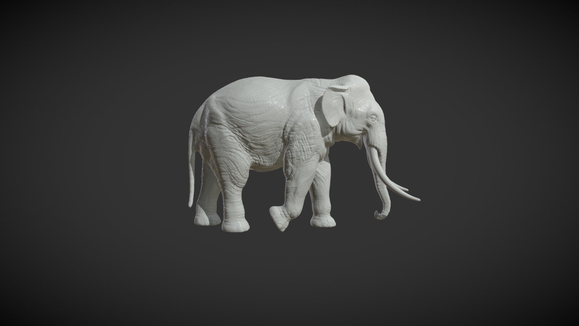 Asian Elephant - 3D model by Skazok [3fb0546] - Sketchfab