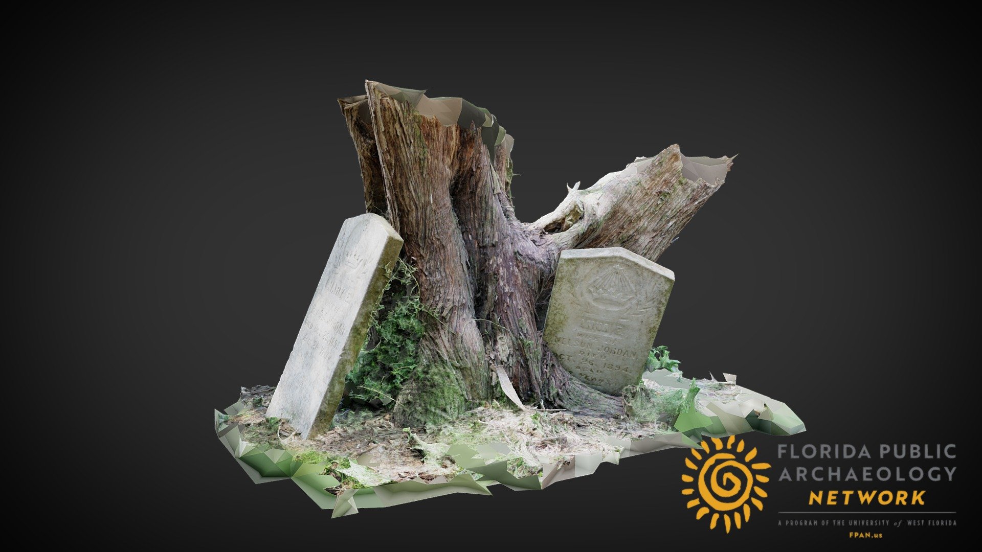 Headstones In Tree
