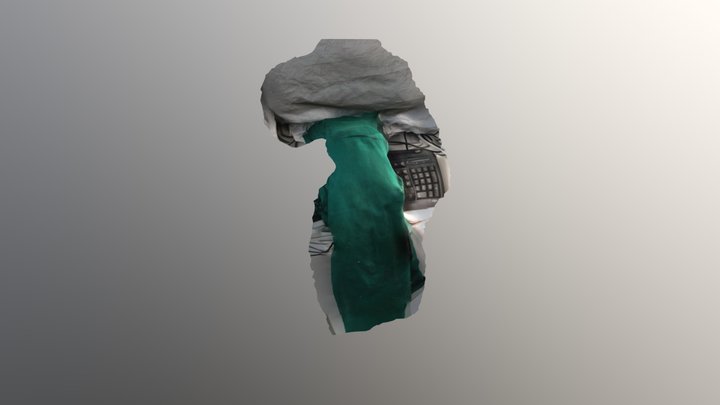 C 3D Model