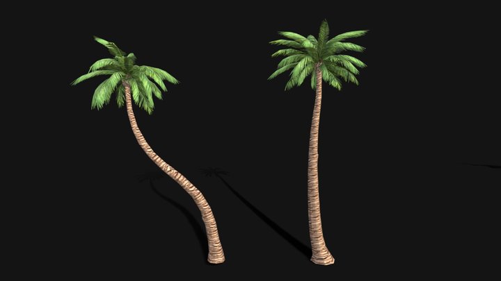 Palm Trees Lowpoly 3D Model