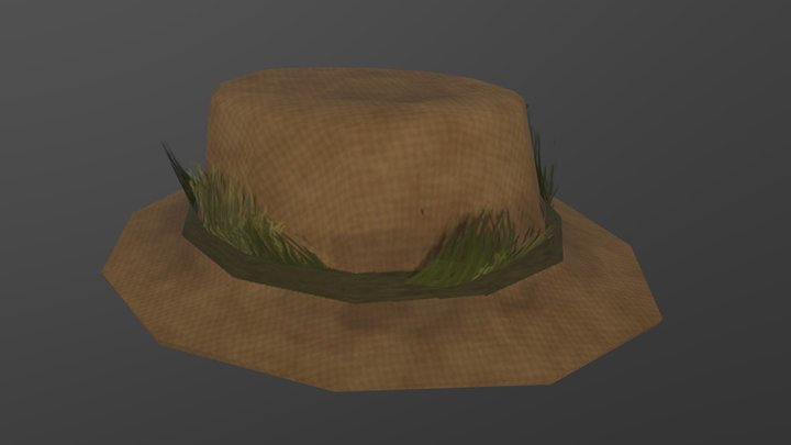 Botanist's Hat 3D Model