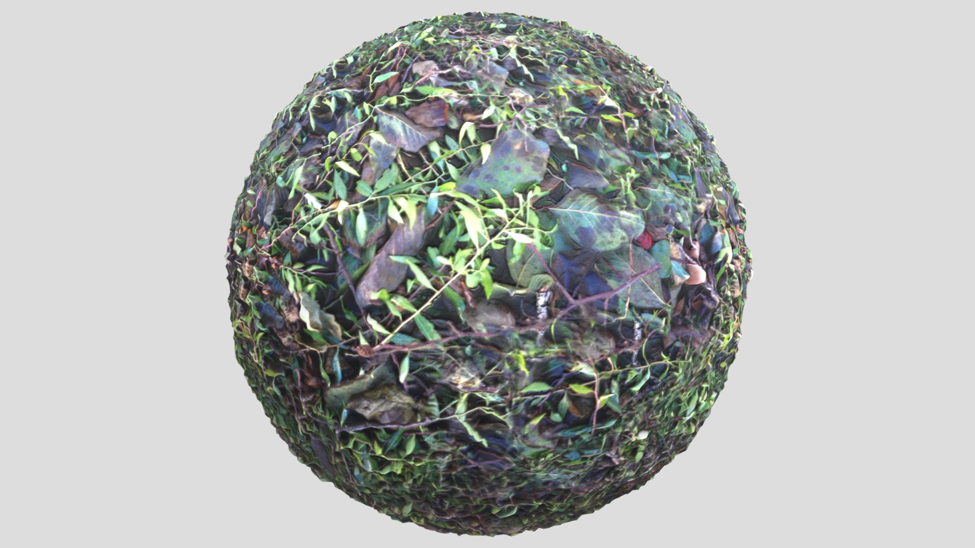 Grass04