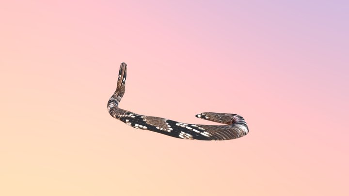 Non-Animated Blender Snake