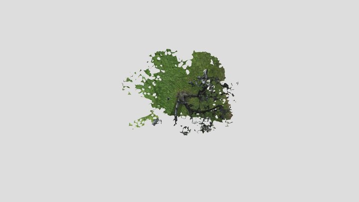 2023-2_Arauco Claros, Brandon_FMG-links 3D Model