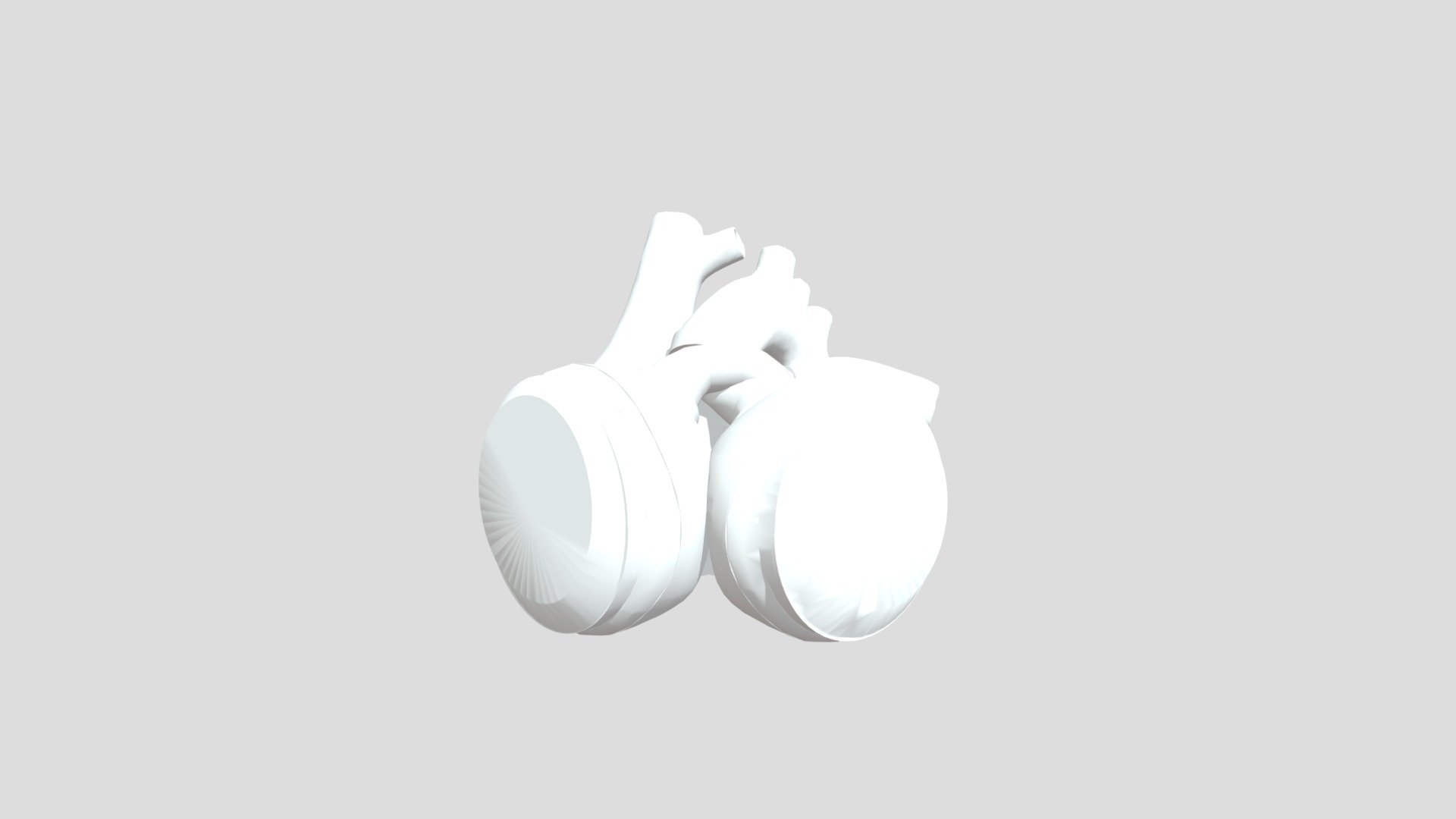 Total Artificial Heart 3D model