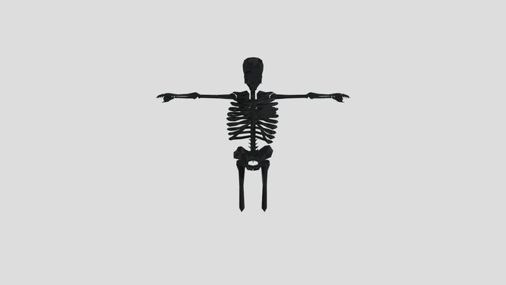 Gutsy Bones 3D Model