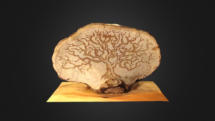 Wood on Mushroom on Wood #3DST21 – Modelo 3D gratuito STL