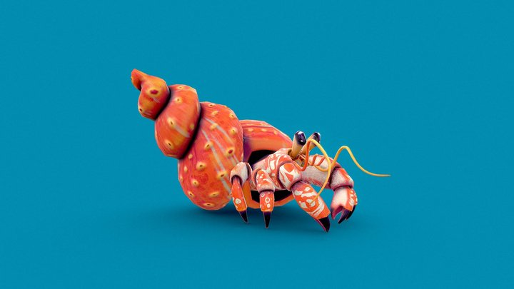 Little Hermit Crab 3D Model