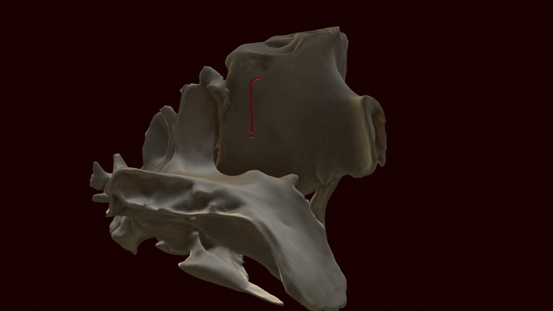 PPF-Rev1A-PK - 3D model by metanautvr [3fca79b] - Sketchfab