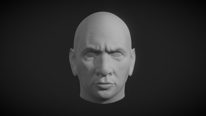 face1 3D Model