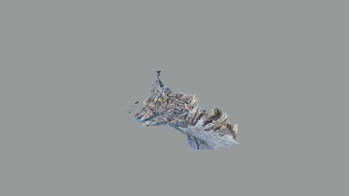 竹島 3D Model