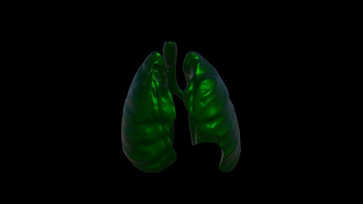 Lung Segmentation 3D Model
