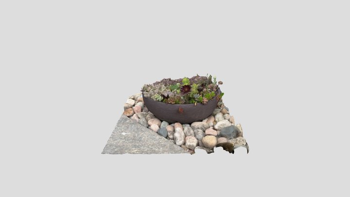 2024-01-29 13:04:07 Suculentas – Modello 3D gratuito STL