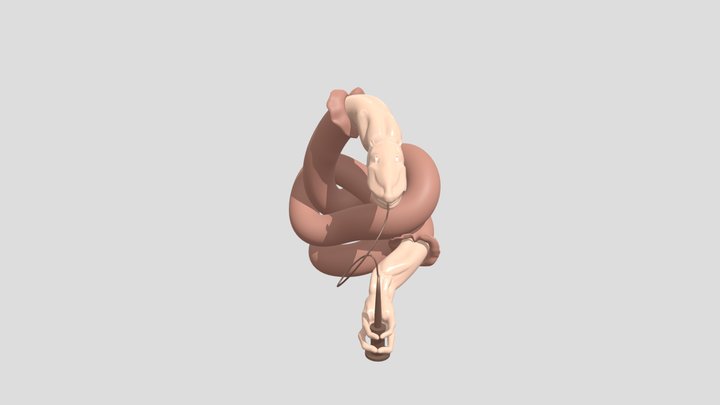 All Tomorrows (C M Kosemen) - The snake people 3D Model
