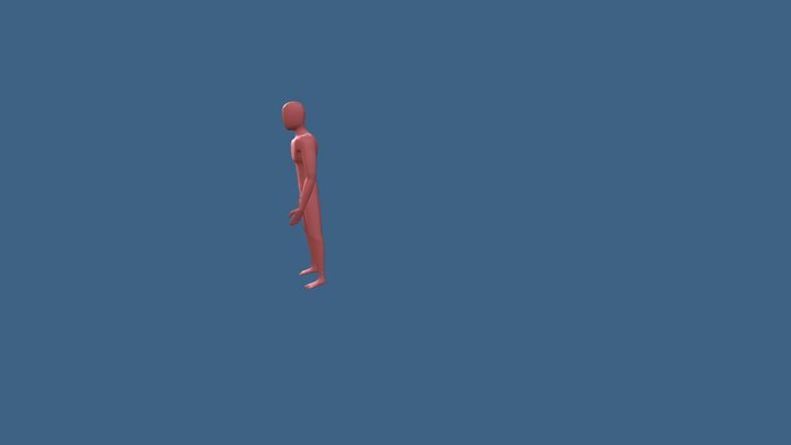Human 3D Model
