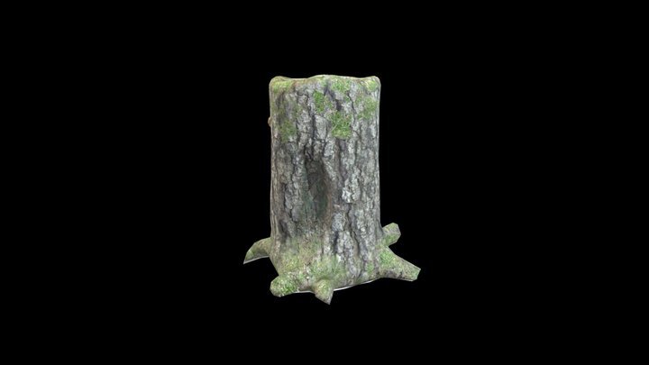 Stump-1116 – Kostenloses 3D-Modell STL